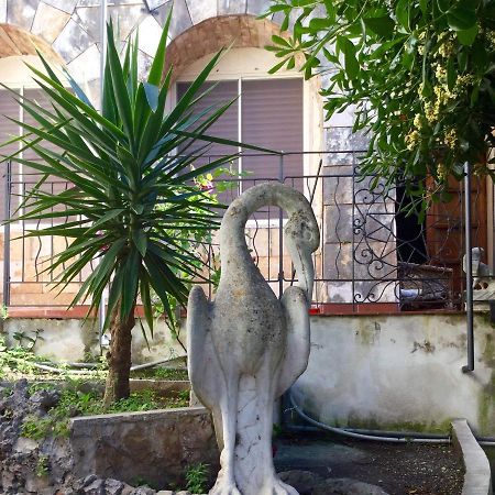 Villa Merina Vieste Exterior photo